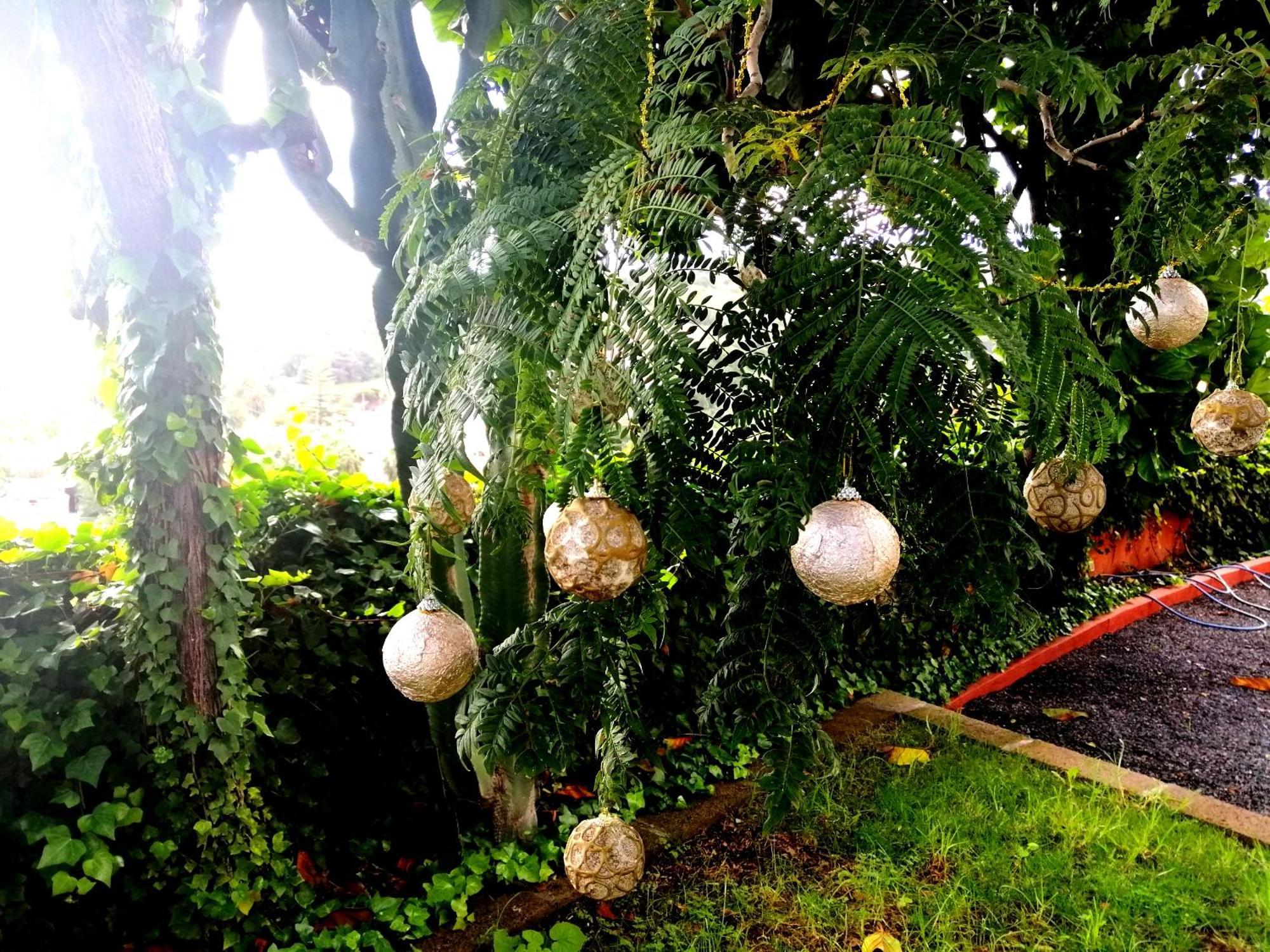 Apartamento Lemmon Tree Santa Brigida  Ruang foto